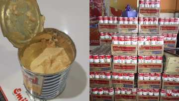 FDA asks Nestle to recall 'spoilt' Ideal and Carnation milk from market, releases list of affected batches