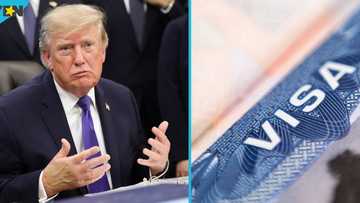 Green Card for refugees: US lists 7 requirements foreign applicants must meet to apply