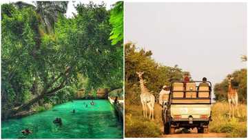 4 Game Reserves in Africa That are Proudly Showcasing African Heritage