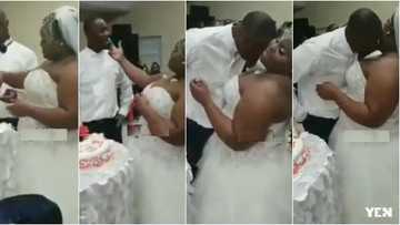Plus-size bride causes stir as she puts cake between her breasts for husband to eat (video)