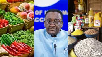 Prices of foodstuff have reduced drastically - Agriculture Minister