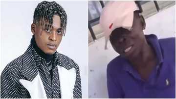 Grandma wows many as she sings trap song with so much vibe, adorable video warms hearts