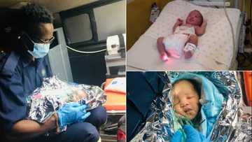 Homeless man rescues newborn baby from dustbin; celebrated as hero online
