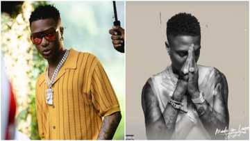 Reactions as Wizkid’s Made in Lagos album surpasses 1 billion streams on all platforms