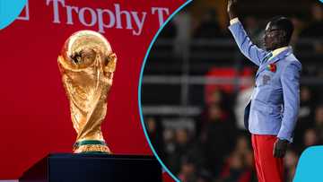 Why AFCON superfan will miss crucial World Cup playoff final in Mexico