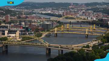 How many bridges are in Pittsburgh? All you need to know about the City of Bridges