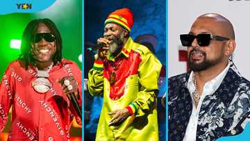 The top 20 dancehall artists in the world right now