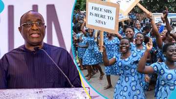 Alan Kyerematen unveils his plan to reform the free SHS programme