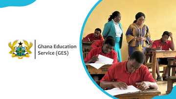 How to do self-placement and check CSSPS placement on the platform