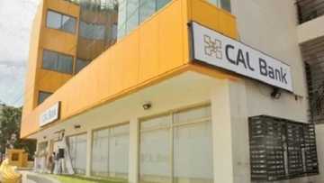 About 40% of graduates go into financial sector to commit fraud - MD of Cal Bank