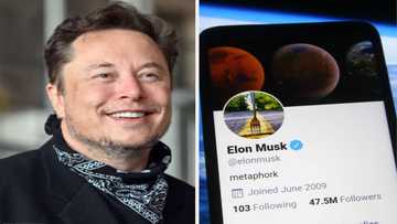 List of top 10 shareholders of Twitter pops up as Elon Musk rejects offer to join