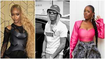 Afrochella Day 1: Ayra Starr, Shatta Wale, other artistes thrill ravers at concert, videos drop