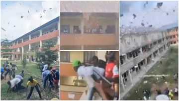 Cash Rains: 'Rich kid' sprays money on university students from school balcony, video goes viral