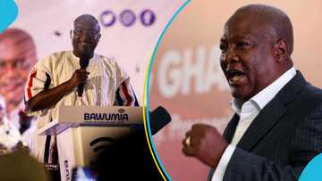 Mahama secures massive lead over Bawumia in final Global InfoAnalytics poll