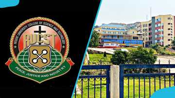 Regent University courses, fees and application process