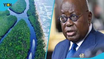 Groups rally against Akufo-Addo govt: Oppose mining in Amanzule Conservation area