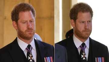 Harry accuses royal family of ‘total neglect’; details drug and alcohol abuse