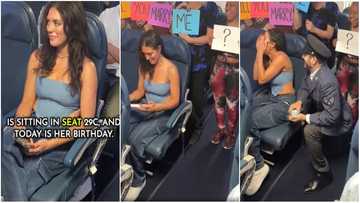 Pilot proposes to girlfriend on the same plane they first met, video goes viral