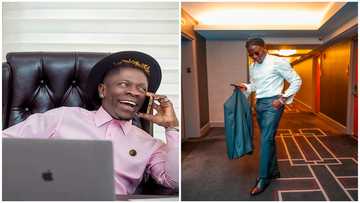 Between musicians Shatta Wale and Stonebwoy who has more awards?