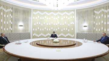 Erdogan backs Turkmen gas link easing dependence on Russia