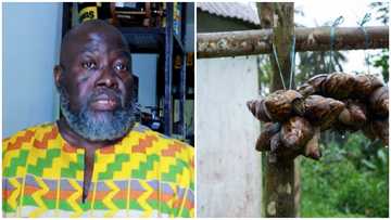 American businessman urges Ghanaians to invest in agriculture: “There are many opportunities here"