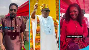 Jackie Appiah, Patoranking and other stars present at Mahama's inauguration, videos drop