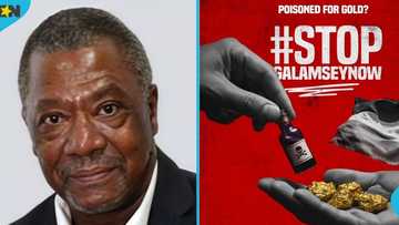 Atta Mills' brother backs anti-illegal mining demonstration: "Stop galamsey now"