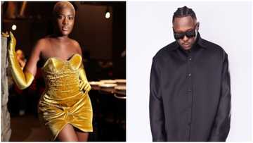 Fella Makafui and Medikal: Actress gets fans reacting after tweeting that her boyfriend is back on Twitter