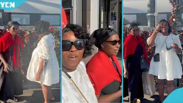 Adwoa Saah flies to Germany to celebrate Akosua Serwaa’s birthday in style, video warms hearts