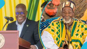 Ya-Na urges Akufo-Addo not to rename Tamale International Airport after Yakubu Tali: “Unacceptable idea"