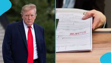 US Denies 35,767 Work Permit Applications from Green Card Applicants in One Quarter