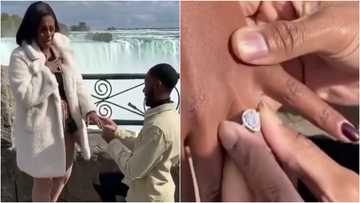 Kareem & Williams: Man leaves baby mama in tears of joy as he proposes to her with stunning ring in video