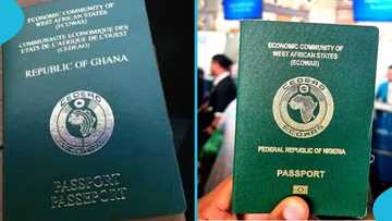Ghanaian and Nigerian compare passport strength in viral video