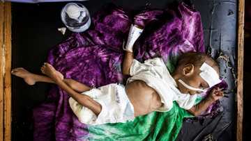 22 million face starvation in Horn of Africa: WFP