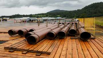 Troubled Canada pipeline no longer profitable: budget watchdog