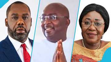 Bawumia's running mate will come from Ashanti Region - NPP allegedly settles debate