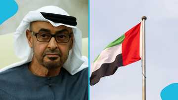 UAE publishes 3 benefits available to foreigners with a residence visa