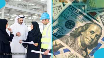 UAE salary structure for workers in 2026 released, breakdown of top-paying jobs