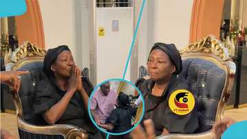 Akosua Serwaa Fosuh kneels before Otumfuo’s Nkosohene as he endorses her in a viral video