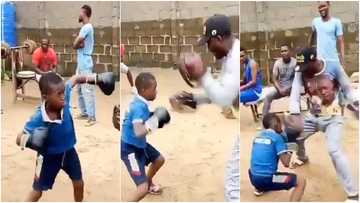 Little boy with potential in boxing warms hearts with amazing jabs, displays skills with speed of light (video)