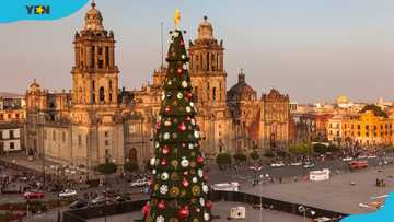 Christmas in Mexico: 15 Fun facts and traditions of Mexican Christmas