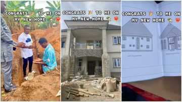 Young man makes it in life, builds one-storey house, splurges money on interior decor