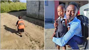 Father sweetly teaches daughter to walk to school without a car in video