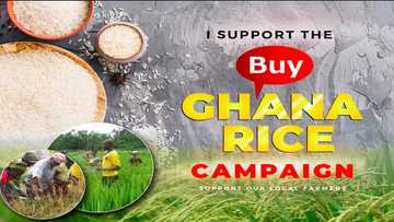 Citi FM loses big cash after promoting local rice over imported ones