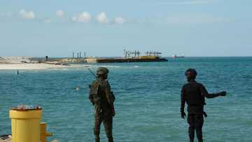 TotalEnergies accused of Mozambique war crimes 'complicity'