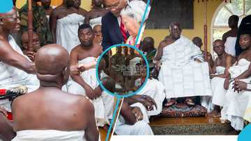 Otumfuo leaves little American girl in awe during meeting with Savannah City Council, video