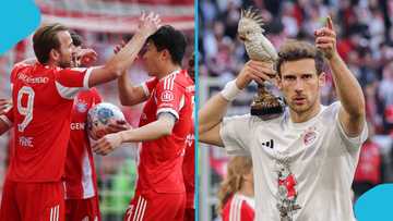 Bizarre reason Bayern players celebrated Bundesliga title with cockatoo statue