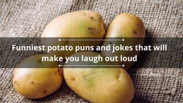 80 Funniest potato puns and jokes that will make you laugh out loud