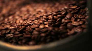 Starbucks names outgoing Reckitt leader as next CEO