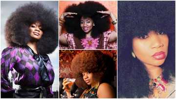 Woman with biggest afro in the world breaks record with her full beautiful hair; photos emerge